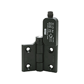 Special function hinge