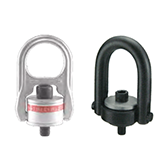 Lifting rings and caps