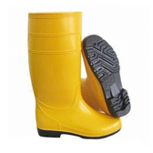 Protective shoes