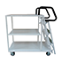 Inspection trolley