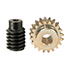 Worm gear