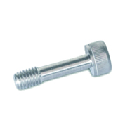 Anti-drop screw