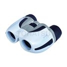 Binoculars zoom type