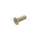 Plastic pan head Phillips screw (PEEK) FH