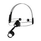Head mounted magnifier