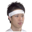 PASWB-XZ-100 Head-mounted sweat-absorbing pad, white