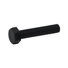 Plastic hexagonal screw (RENY) SBTRENM