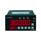 GP2001G/WP01 Pirani Vacuum Gauge (Digital Specification)
