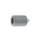 Stainless steel hexagon socket set screw (pointed tail) Y301