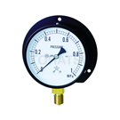 G421-211-M-0.1MP General steam pressure gauge type B