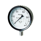 G411-261-0.1MP Stainless Steel Pressure Gauge Type A