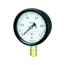 BC10-131-0.1MP Small Pressure Gauge D Type