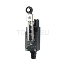 Small vertical limit switch TZ-9108