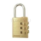 300 Series Combination Padlock