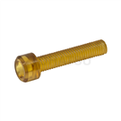 Plastic Hexagon Socket Screws (PEI) SCBPEIM