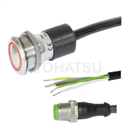 SGR3310 Electric switch (with indicator light)