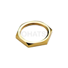 GH Oil Immersible