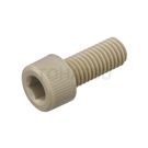 Plastic Hexagon Socket Screws (PEEK) BPEEK-CBM