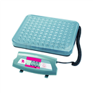 SD35JP Floor Scale