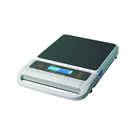 SA30K Portable Bench Scale