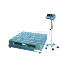 SN600K Floor Scale