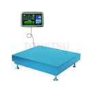 DP-5602C-300 Platform Scale