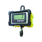 DS204-500 Crane Scale