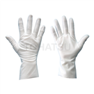 BX-309 Cleanroom Gloves (50 pairs/bag)
