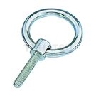 Stainless steel ring bolt