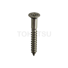 Stainless steel dish head cross self-tapping screws (special for shelves) 101792