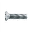Anti-theft pan head double hole screw B110