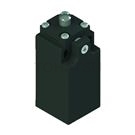 FR Series Limit Switch