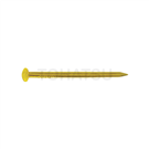 Round head brass nails