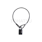 3180-30S 3180-30L Linear lock