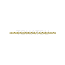 BV Series Ship Chain