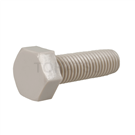 Plastic Hexagonal Screws (PEEK) PEEKHB