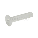 Plastic pan head cross screw (PVDF) SFHPVDM