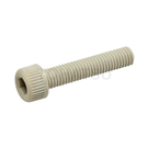 Plastic socket head screw (PPS) SCBFPPSM
