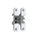 GS-R Invisible Hinge