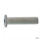 Stainless steel ultra-low head hexagon socket screw (boxed) 00-02-A600