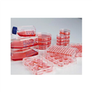 Cell Culture Plate Nunclon (TM) Sphera (TM) 6 Hole Plate　174932