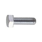 Hexagonal screw BT-SS