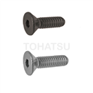 Hexagon socket head screws (DIN7991.ISO10642) FBB SFBB