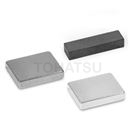 GN55.4 magnet (rectangular)