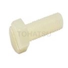 Plastic Hexagon Slotted Screws (PA Inch) APPA