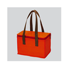 Cooler Bag (Orange/Green)