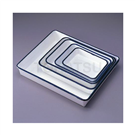 Enamel Tray for 10 x 12In. Photos (370 x 320 x 50mm)