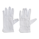 AS-301 Antistatic Gloves (1 pair)