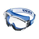 Goggles LX-21