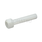 Plastic socket head screws (POM) SCBPOMM